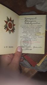 Орден Отечественной Войны 2 степени, Медаль Жукова,медаль за победу над Германией