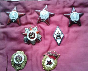 Три ордена «Красной Звезды» , орден «Отечественной войны» 1 степени, знаков «Гвардия» и «Отличный разведчик»
