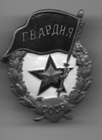 Знак "Гвардия"