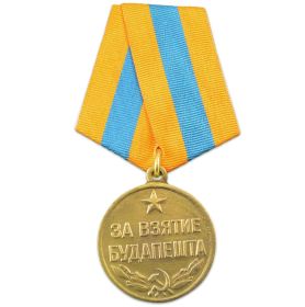 2 медали "За отвагу",медаль "За оборону Сталинграда", медаль "За взятие Будапешта"