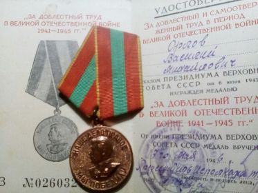 За доблестный труд в Великой отечественной войне 1941-1945 гг