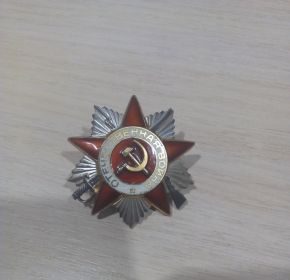 Медаль «За взятие Будапешта», Медаль «За победу над Германией в Великой Отечественной войне 1941–1945 гг.», Медаль «За взятие Вены», Медаль «За боевые заслуги»,...