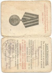 Медаль «За победу над Германией в Великой Отечественной войне 1941-1945 гг.»