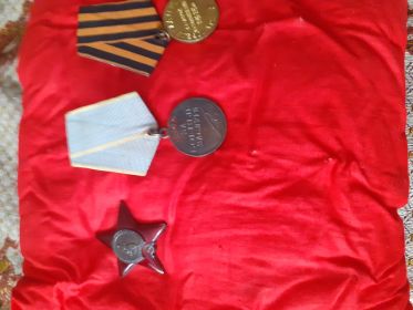 Орден Красной зведы, медали " За боевые заслуги". "За Победу над Германией"