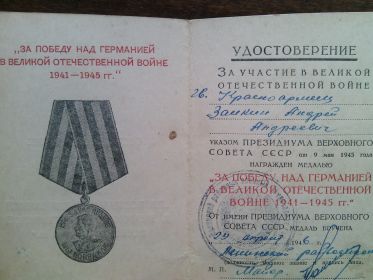 Медаль за победу над Германией в ВОВ
