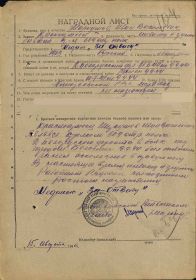 Медаль «За победу над Германией в Великой Отечественной войне 1941–1945 гг.»
