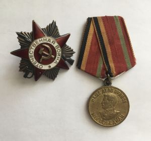 Орден Великой Отечественной войны 2-ой степени, медаль За Победу над Германией