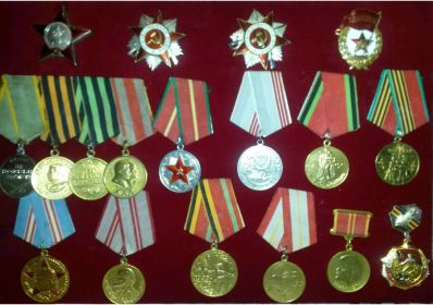 За героизм, проявленный во время войны, он был награжден орденом Красной Звезды, двумя орденами Отечественной Войны, а так же 15 медалями среди которых: медаль...