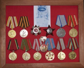 Орден Отечественной войны, медали: за отвагу, за Победу над Германией, за Победу над Японией