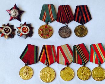 Орден Красной Звезды, орден Славы III степени, ордена Отечественной Войны, медаль за Боевые заслуги