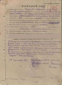 орден красной звезды, медаль за отвагу