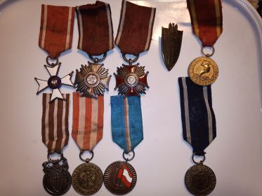 Польские награды: Орден Возрождения Польши (Рыцарский крест),  два ордена Крест Заслуги, Грюнвальдский знак, Медаль За Варшаву и ряд других.