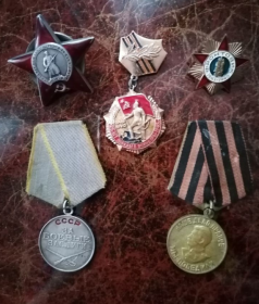Награды: орден "Красной Звезды», медали «За боевые заслуги», «За победу над Германией»