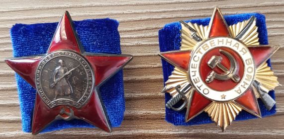 более двадцати медалей и два ордена "Отечественной войны" 1 степени и орден "Красной звезды