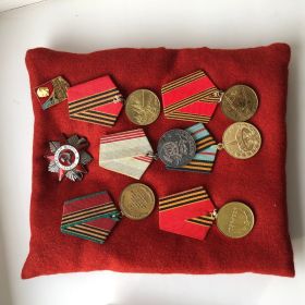Орден второй степени, медаль Жукова, юбилейные медали.