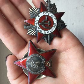 Орден Красного Знамени, орден Отечественной войны 2 степени, медаль "За освобождение Варшавы", "За победу над Германией"