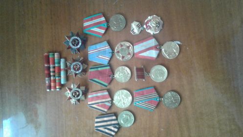 2 ордена 1 степени Отечественной войны, 1 орден 2 степени Отечественной войны,  медаль победы над Германией и юбилейные медали Отечественной войны .