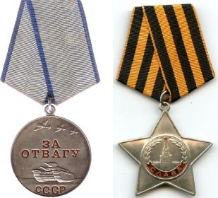 Орден Славы III степени; Медаль «За отвагу»