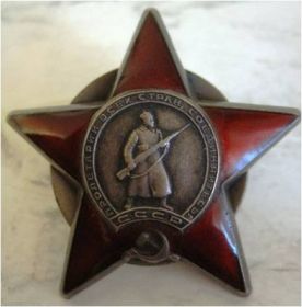 Орден "Красной звезды", Медали «За оборону советского Заполярья», «За взятие Будапешта», «За победу над фашистской Германией»