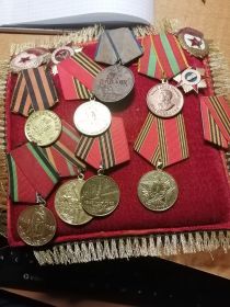 Медаль "За отвагу", "За победу над Германией", орден "Отечественной войны 1 степени", медали к юбилейным датам.