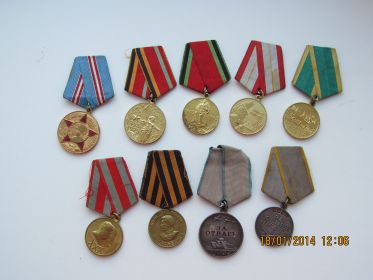 Медаль «За отвагу», Медаль «За боевые заслуги», Медаль «За победу над Германией», Орден Отечественной Войны.