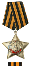 Орден "Славы III степени"
