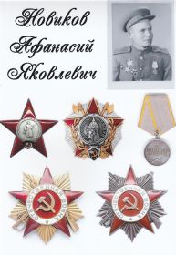 Орден Великой отечественной войны первой и второй степени, орден Красной звезды, Орден Александра Невского, медаль за Боевые заслуги