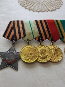 Медаль «За победу над Германией в Великой Отечественной войне 1941—1945 гг.»