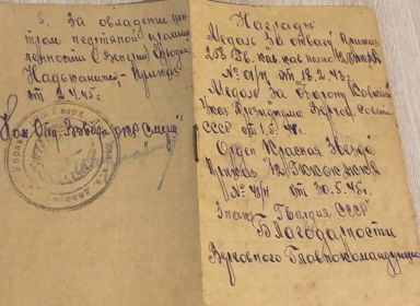 Медаль "За отвагу", Медаль "За оборону Кавказа", Орден "Красная Звезда", Медаль "За взятие Будапешта", Медаль "За победу над Германией в Великой Отечественной в...
