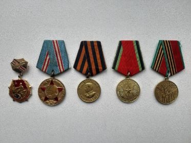 Орден Отечественной войны, медаль за победу над Германией, медаль в честь двадцати лет победы в ВОВ
