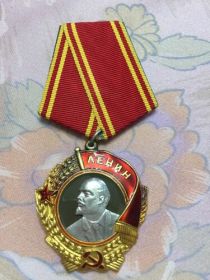 Орден Ленина (21.02.1945); Три ордена Красного Знамени (10.01.1944, 2.03.1944, 3.11.1944); Медали.