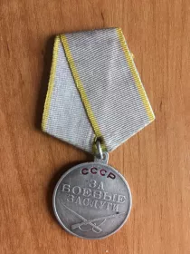 награжден медалью «За боевые заслуги»