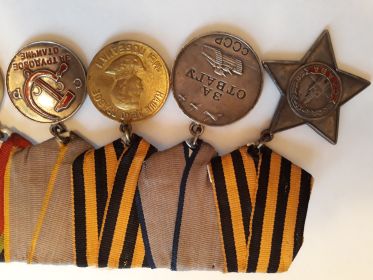 Орден славы III степени, медаль "За отвагу", медаль "За победу над Германией в Великой Отечественной войне 1941-1945 г.г."