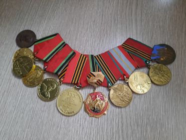 Орден Георгия Жукова, медаль за победу над Германией и многие другие юбилейные медали.