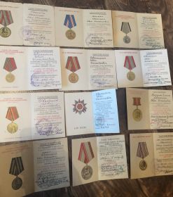 Орден Отечественной войны 1-2 степени. Орден Красной Звёзды , медаль за отвагу и ещё 11 медалей