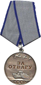 Медаль за отвагу, Орден Отечественной войны,   Медаль «За победу над Германией в Великой Отечественной войне 1941—1945 гг.»