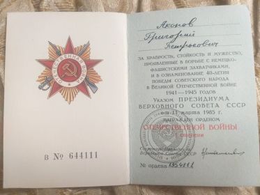 Орден Отечественной Войны 1 степени, медали за Оборону Кавказа, за взятие Берлина, за освобождение Праги, за Победу над Германией