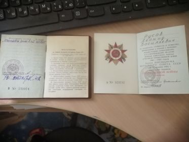 Орден Отечественной войны 2 степени, орден Отечественной войны 1 степени. Много медалей.
