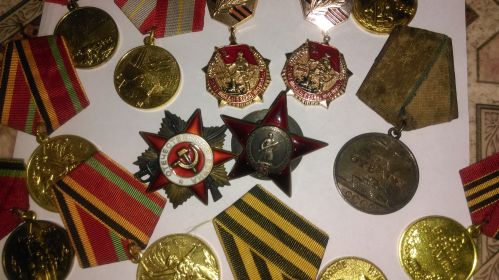 Орден Отечественной 1 степени, орден Красной звезды, медаль за Отвагу, медаль "за взятие Берлина"