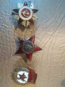 Ордена: "Отечественная война"-1й степени, "Красная звезда"