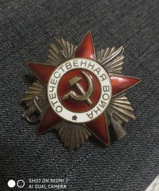 Орден Отечественной Войны 1 степени, медаль Ветеран Труда