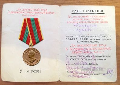 Медаль «За доблестный труд в Великой Отечественной войне 1941—1945 гг.»