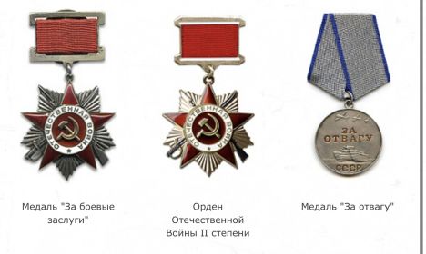 Медаль «За отвагу» и «За боевые заслуги», два ордена Отечественной войны