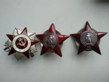Орден Отечественной войны 1 степени, два ордена Красной Звезды