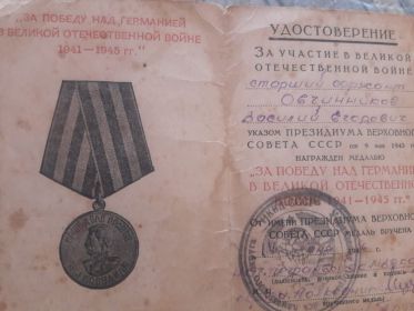 Медаль за Победу над Германией в Великой Отечественной Войне 1941 - 1945гг.