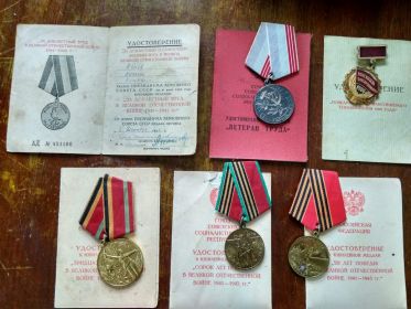 Медалью  За доблестный  труд в Великой Отечественной войне 1941-1945 гг,(АД № 451166).