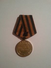 Орден Красной звезды, медаль за победу над Германией