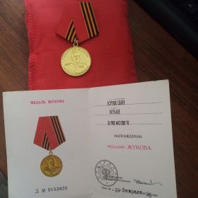 Медаль Жукова