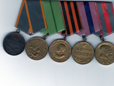 Медали: "За боевые заслуги", "За оборону Ленинграда", "За победу над Германией", "За взятие Будапешта", "30 лет Советской Армии и Флота"