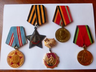 Орден Славы 3 степени, медаль "За победу над Германией"